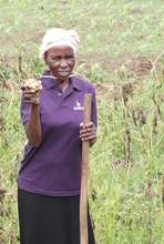 Masikhule member harvesting her potatoes for sale