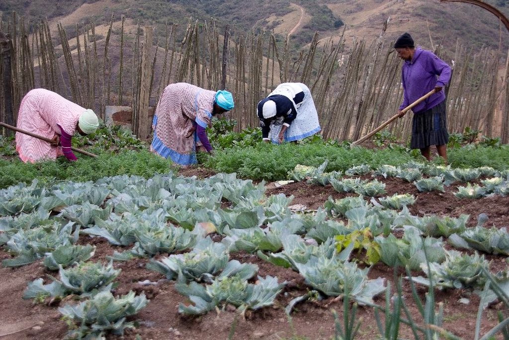 Self-help Groups for 2000 poor women in S. Africa