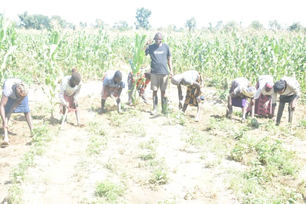 WOMEN FARMERS EMPOWERMENT INITIATIVE