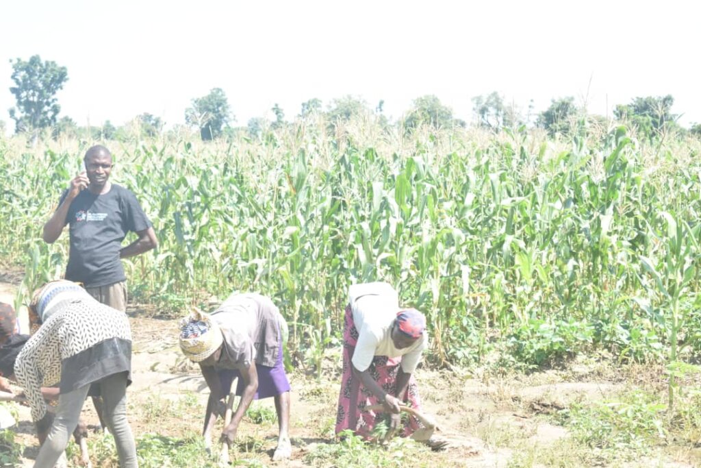 WOMEN FARMERS EMPOWERMENT INITIATIVE