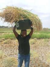 WOMEN FARMERS EMPOWERMENT INITIATIVE