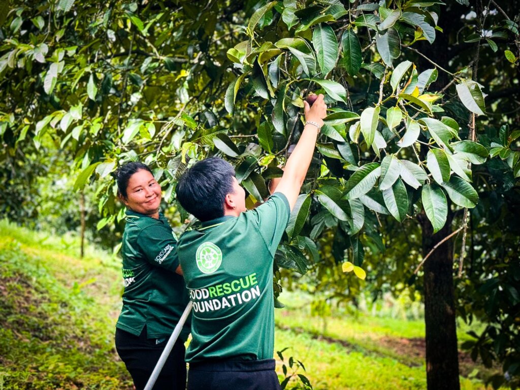 Food Rescue Program