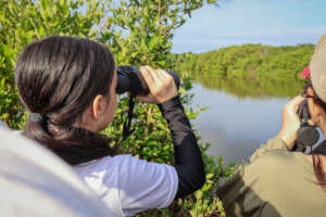 Bird watching workshop