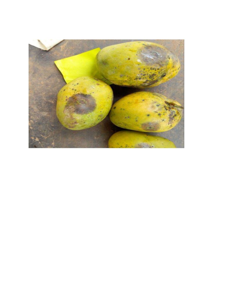 Pre & post-harvest handling & food loss reduction