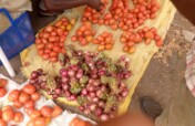 Pre & post-harvest handling & food loss reduction