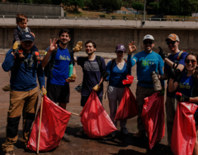 Train our volunteers and hire professionals