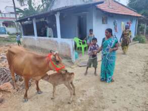 ECONOMIC EMPOWERMENT OF DALIT WOMEN IN RURAL INDIA