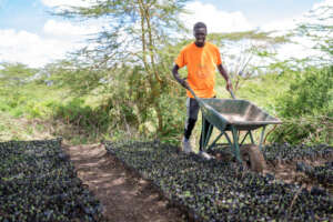 More youth are taking up restoration activities .