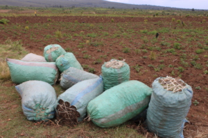 Farmers produce