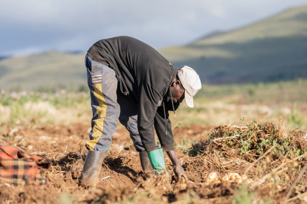 Preparations for planting season at sites.