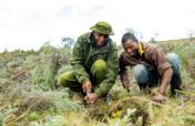 Grow Forests, Grow Communities In Mount Kenya