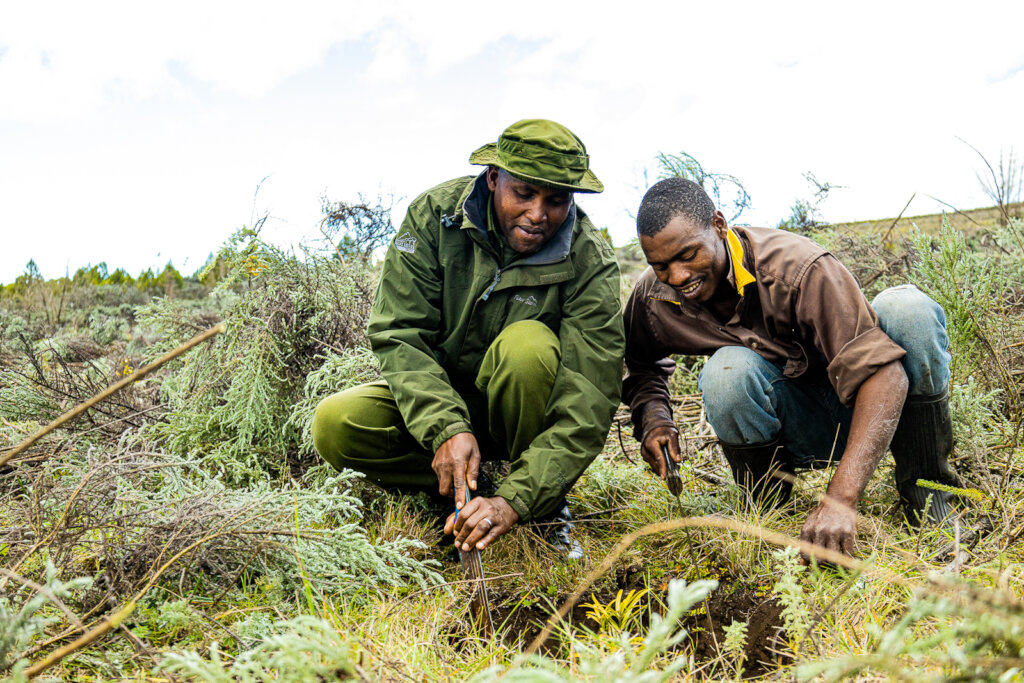 Grow Forests, Grow Communities In Mount Kenya