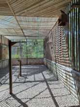 Raptor enclosure planning