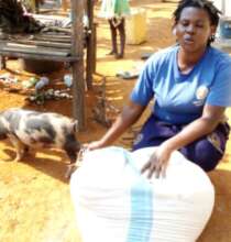 Some income generating project