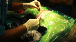Wound Closure