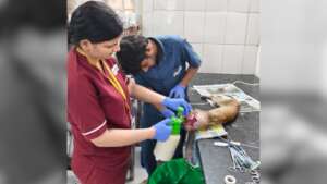 Team in Action