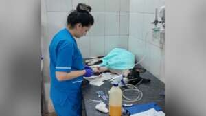 Team in Action