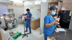 Treatments in Progress