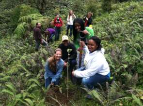 SMTW Students plant a tree in Costa Rica