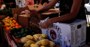 Altadena Farmer's Market