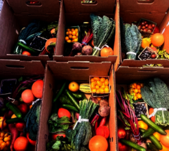 Altadena Farmer's Market