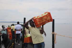 Staff receiving fresh foods on food delivery day