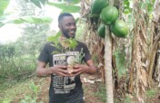 PLANT 20,000 TO RESTORE TARAWE RESERVE FOREST.