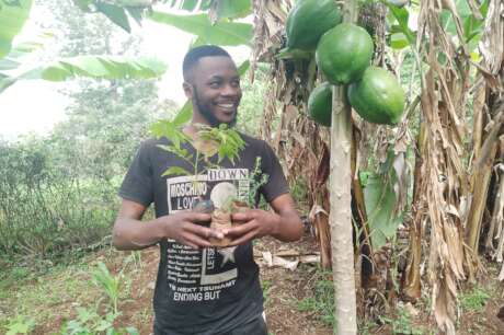 PLANT 20,000 TO RESTORE TARAWE RESERVE FOREST.