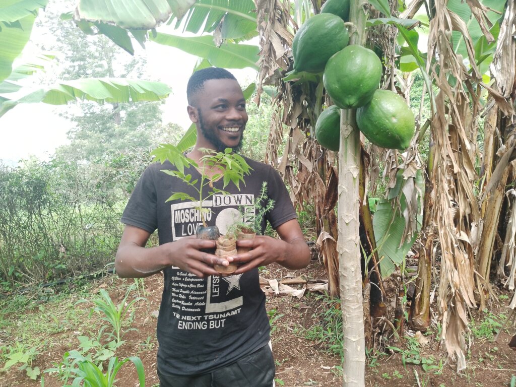 PLANT 20,000 TO RESTORE TARAWE RESERVE FOREST.
