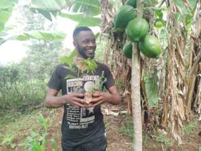 PLANT 20,000 TO RESTORE TARAWE RESERVE FOREST.