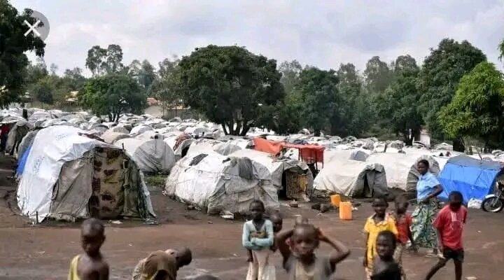 Rebuild North Kivu: Support 42000 displaced people
