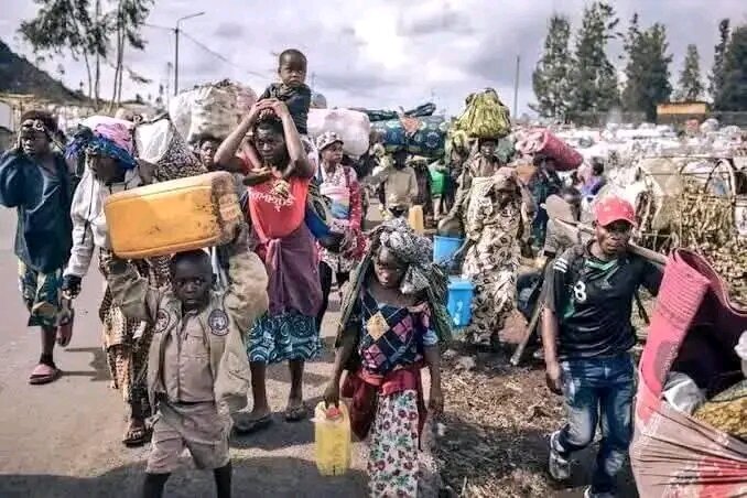 Rebuild North Kivu: Support 42000 displaced people