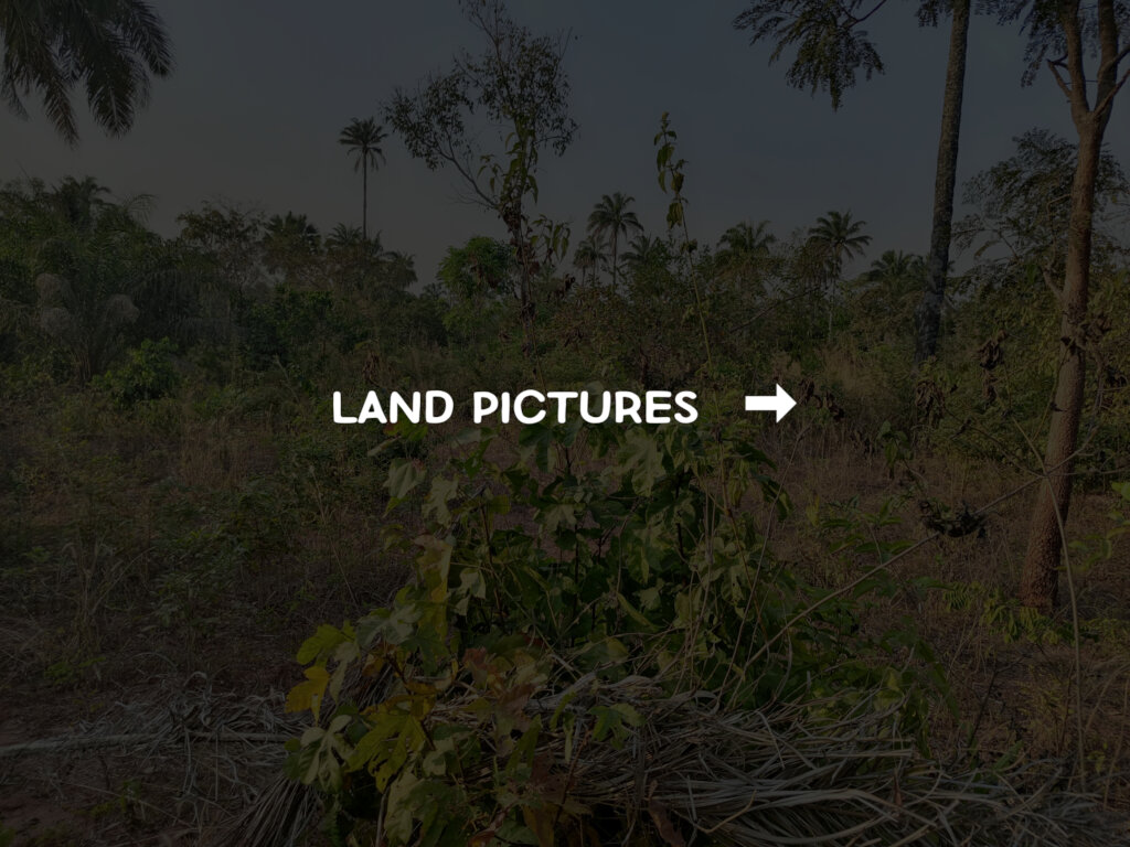 Build a Non-Profit Hospital to End Maternal Deaths