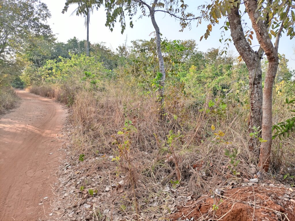 Build a Non-Profit Hospital to End Maternal Deaths