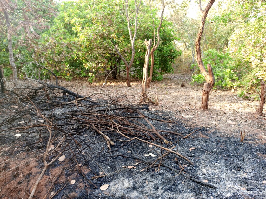 Build a Non-Profit Hospital to End Maternal Deaths