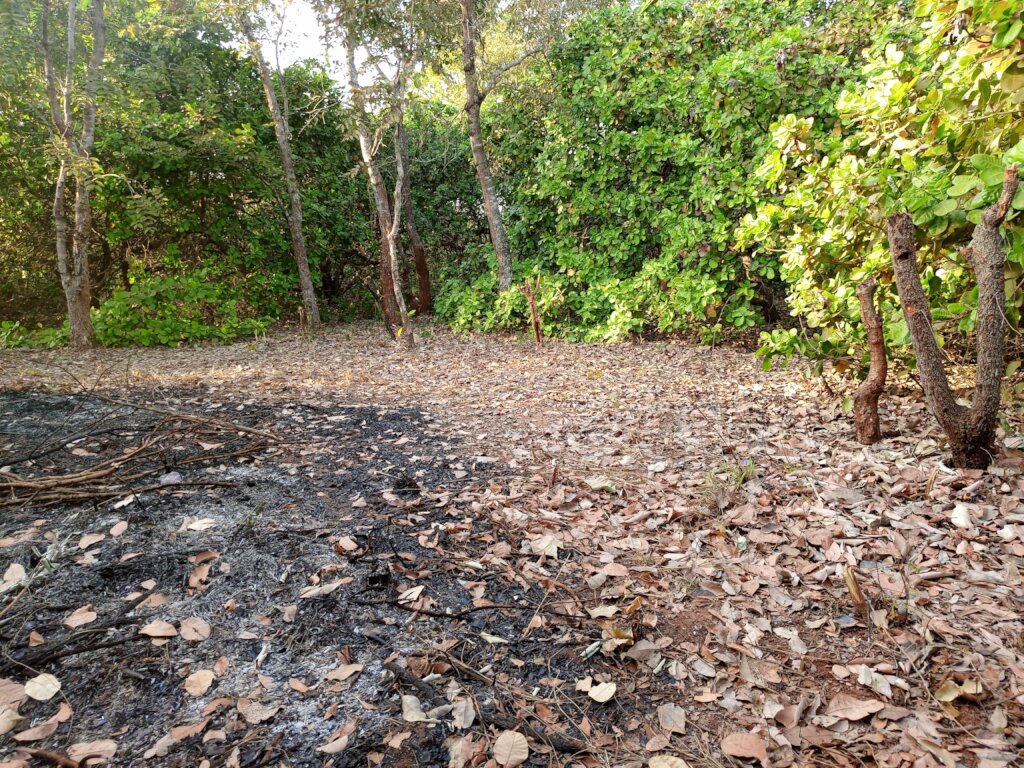 Build a Non-Profit Hospital to End Maternal Deaths