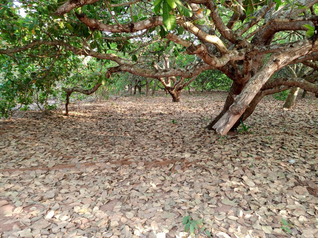 Build a Non-Profit Hospital to End Maternal Deaths