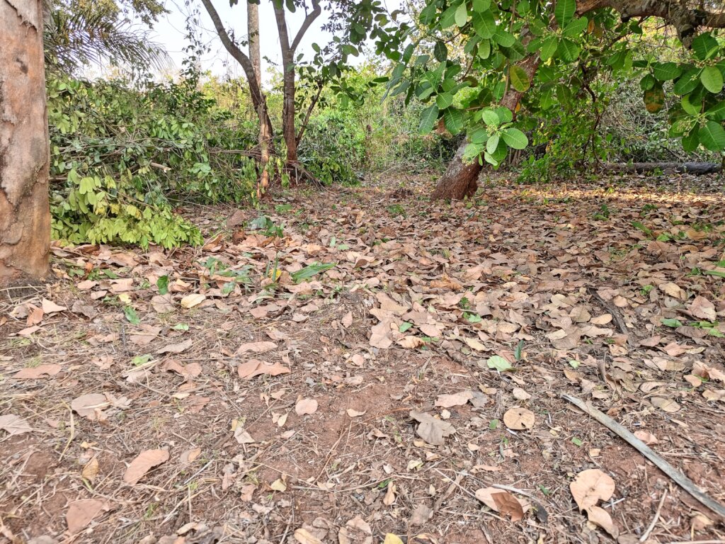 Build a Non-Profit Hospital to End Maternal Deaths