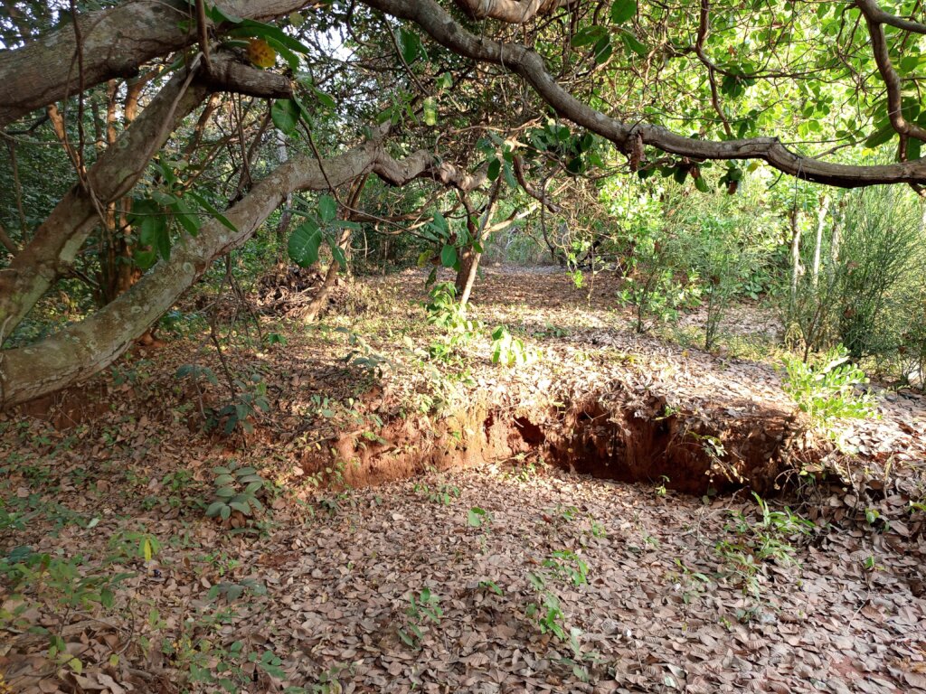 Build a Non-Profit Hospital to End Maternal Deaths