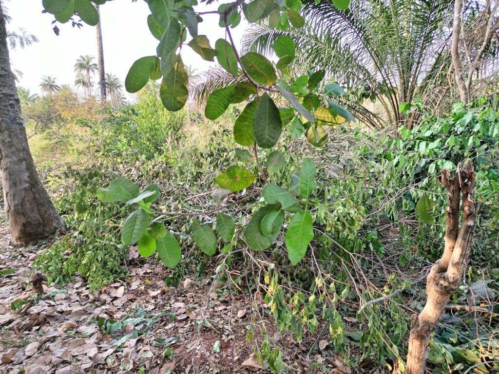 Build a Non-Profit Hospital to End Maternal Deaths