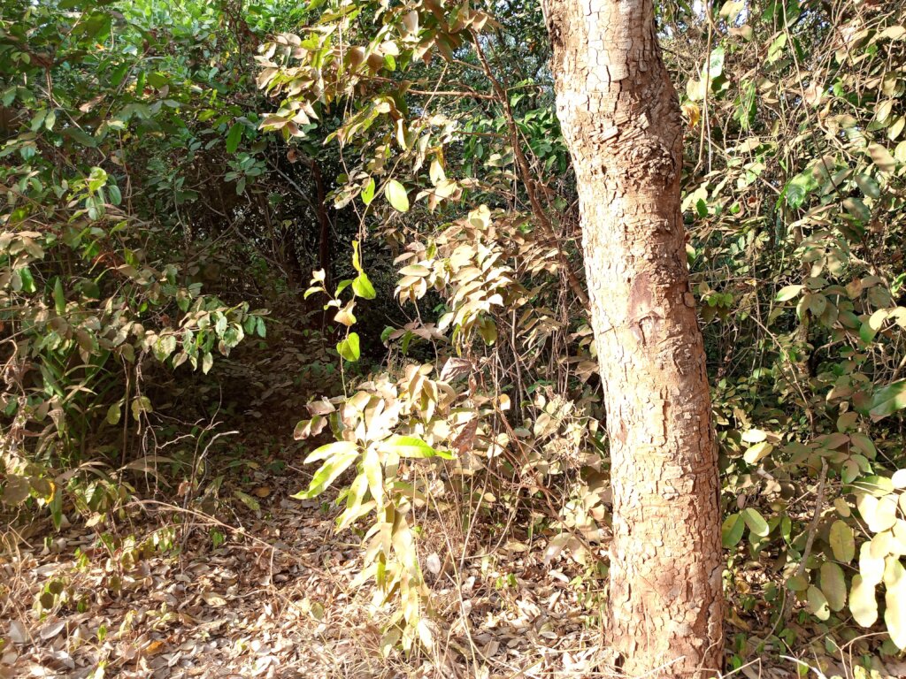 Build a Non-Profit Hospital to End Maternal Deaths