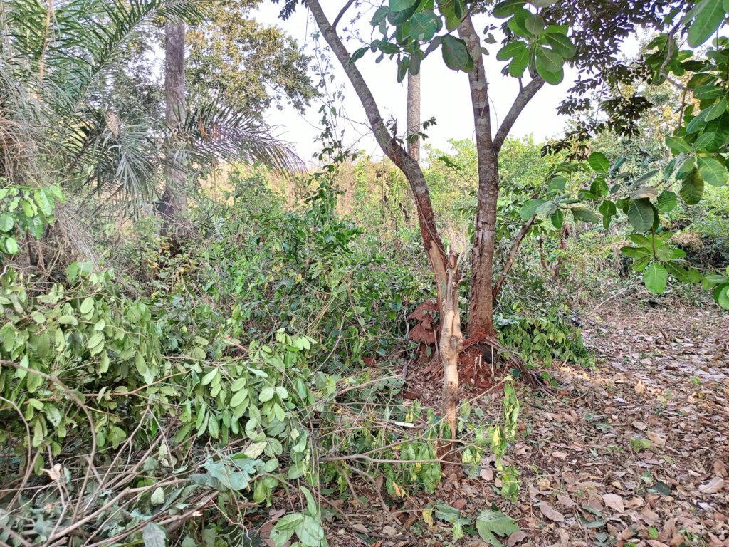 Build a Non-Profit Hospital to End Maternal Deaths