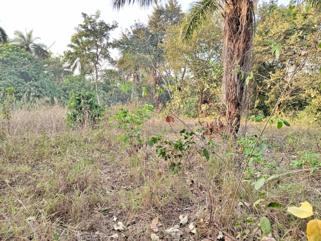 Build a Non-Profit Hospital to End Maternal Deaths