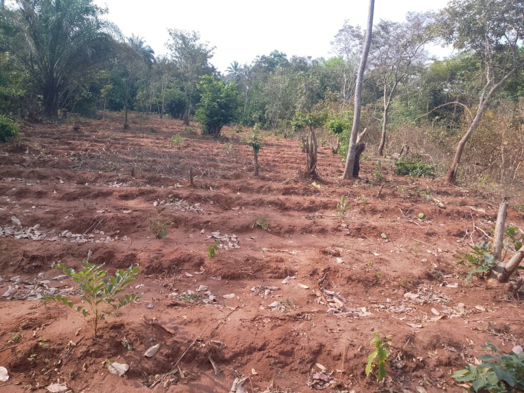 Build a Non-Profit Hospital to End Maternal Deaths