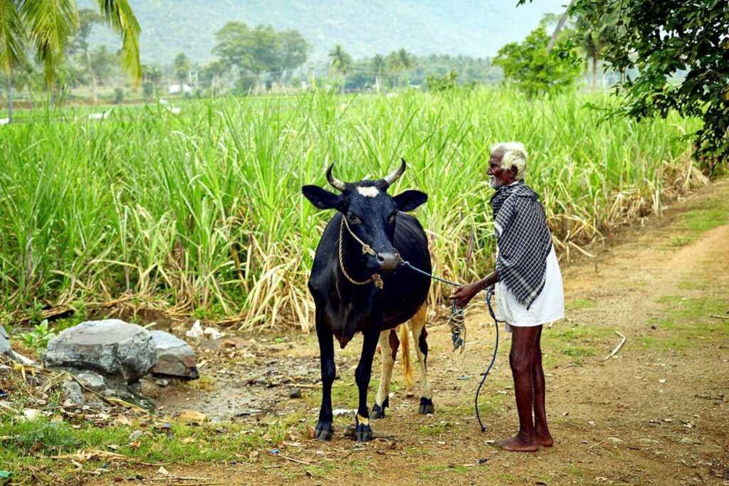 Regenerative agriculture,100 people in India