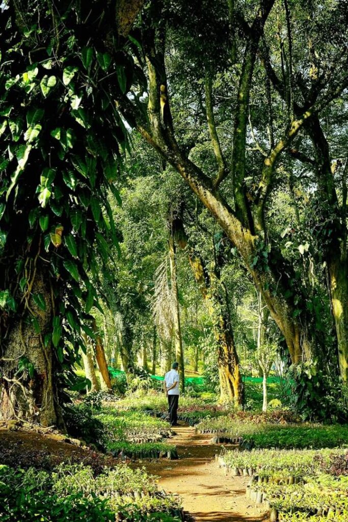 Regenerative agriculture,100 people in India