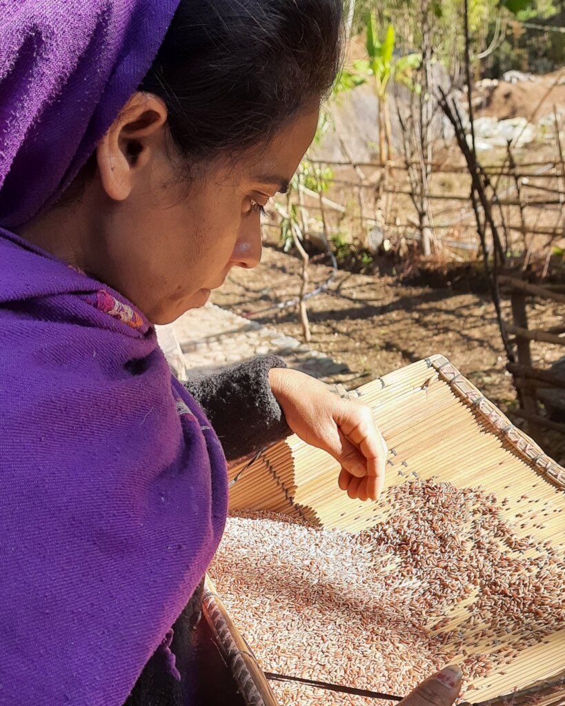 Regenerative agriculture,100 people in India