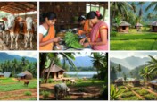 Regenerative agriculture,100 people in India
