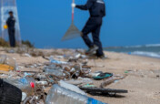 Clean Sri Lanka: Protecting Beaches from Plastic