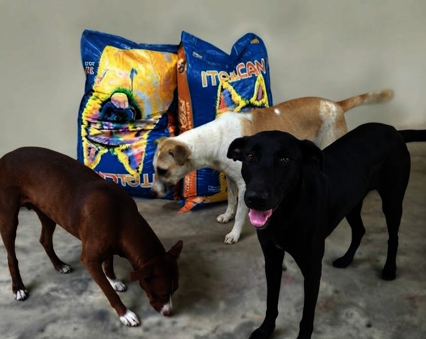Feeding our rescues